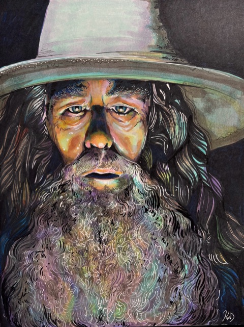 An elderly wizard in a broad hat